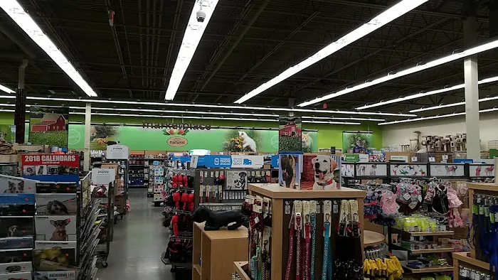 Petco Picture 9