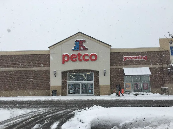 Petco Picture 10