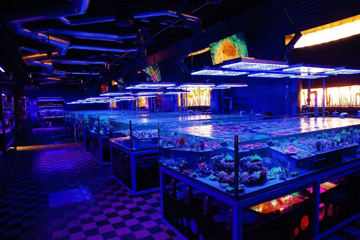 Detroit Reef Club Picture 8
