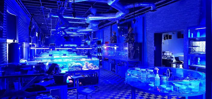 Detroit Reef Club Picture 6