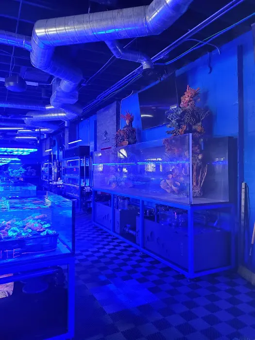 Detroit Reef Club Picture 3