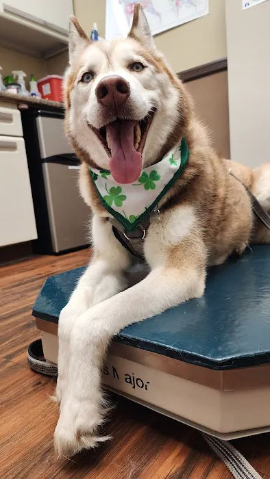 Advanced Veterinary Care Picture 6