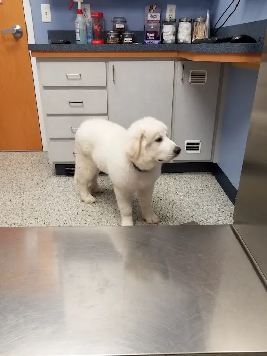 Wantage Veterinary Hospital Picture 7