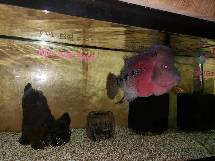 Greenwood Pets & Plants Picture 2