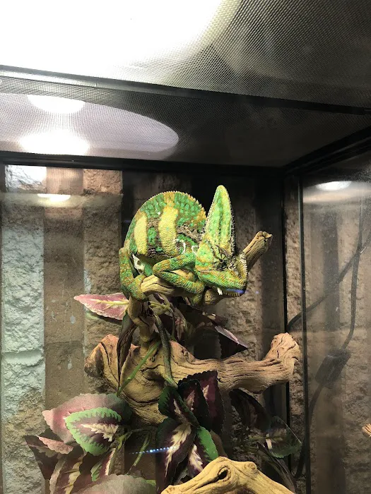 Greenwood Pets & Plants Picture 7
