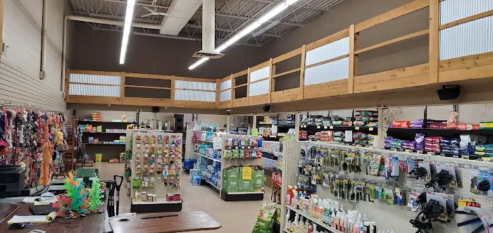 Greenwood Pets & Plants Picture 5