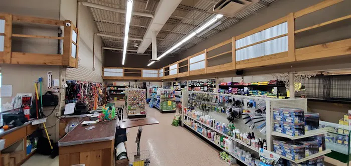 Greenwood Pets & Plants Picture 4