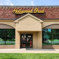 Hollywood Feed ico