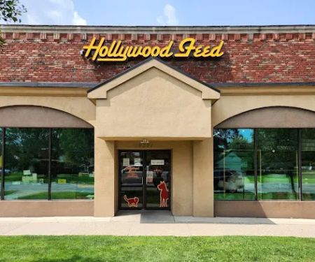 Hollywood Feed