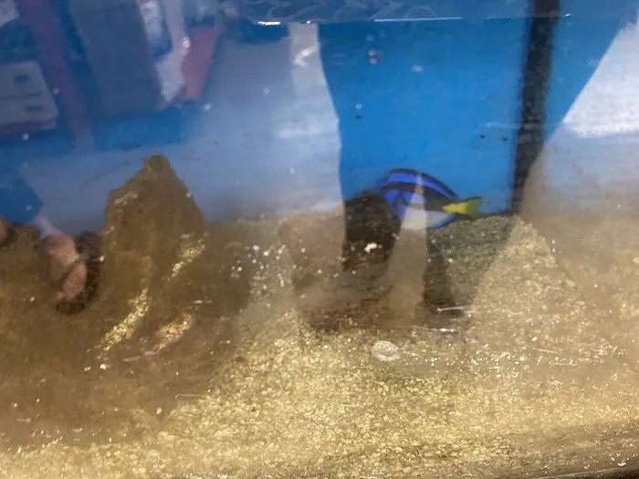 Petco Picture 3