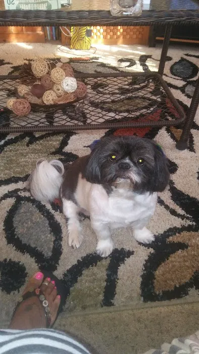 Petco Picture 2