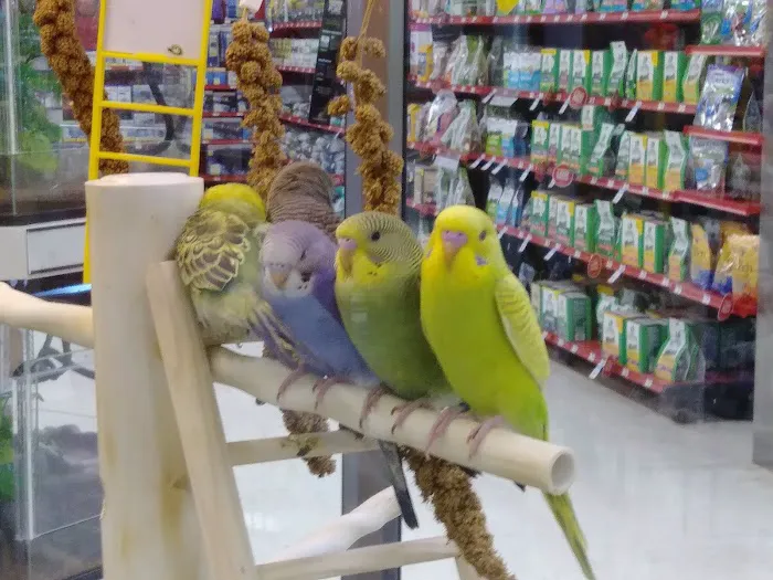 Petco Picture 1