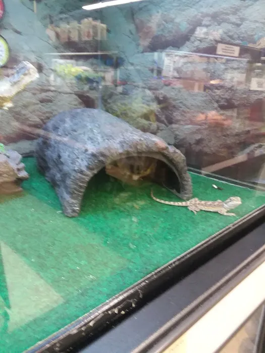 Petco Picture 6