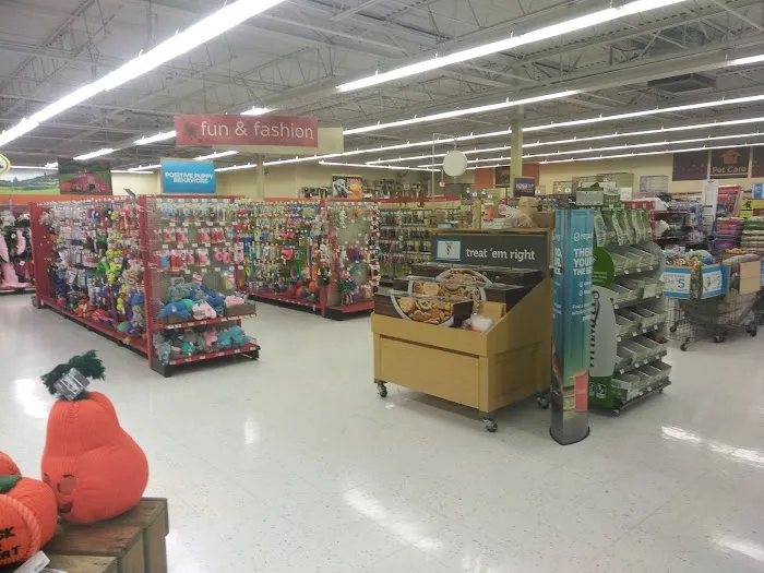 Petco Picture 8