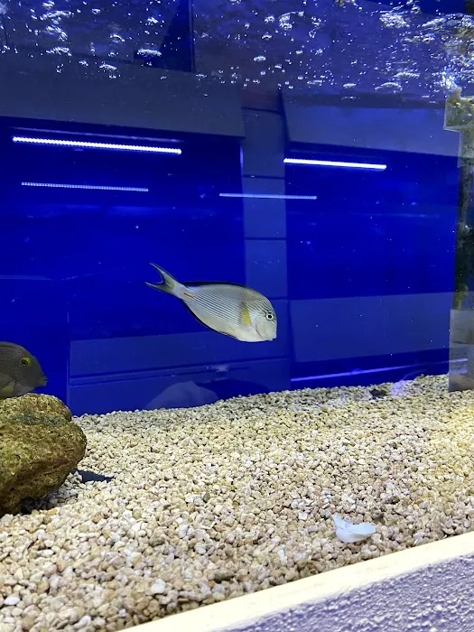 Stingray Bay Picture 7