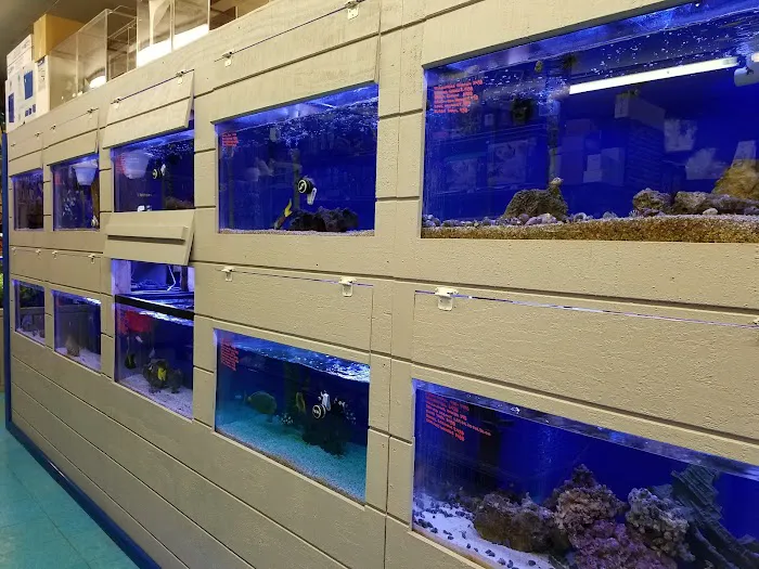 Stingray Bay Picture 4