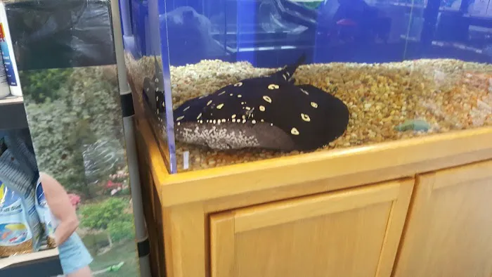 Stingray Bay Picture 9