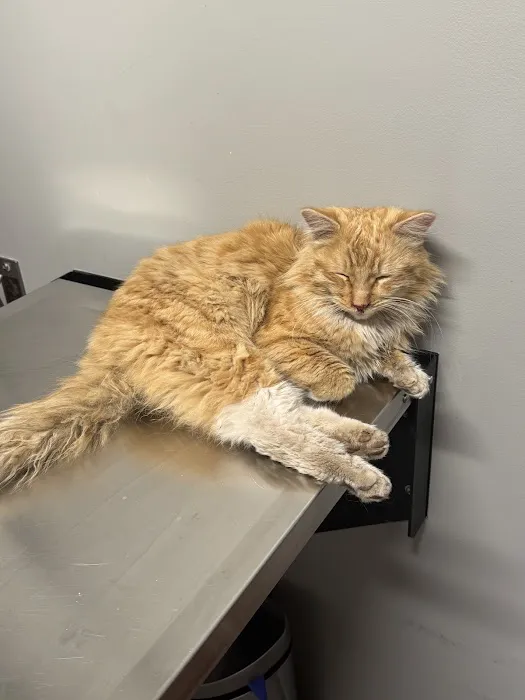 Vernon Veterinary Clinic Picture 1