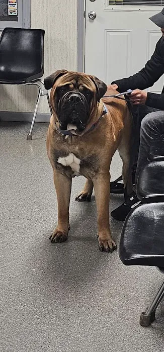 Vernon Veterinary Clinic Picture 5