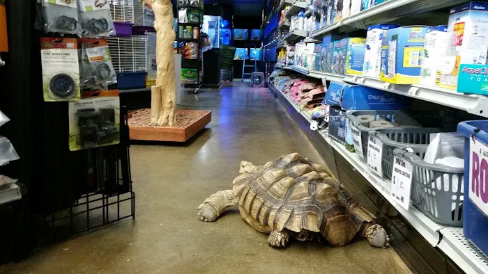 Lou's Pet Shop Picture 1