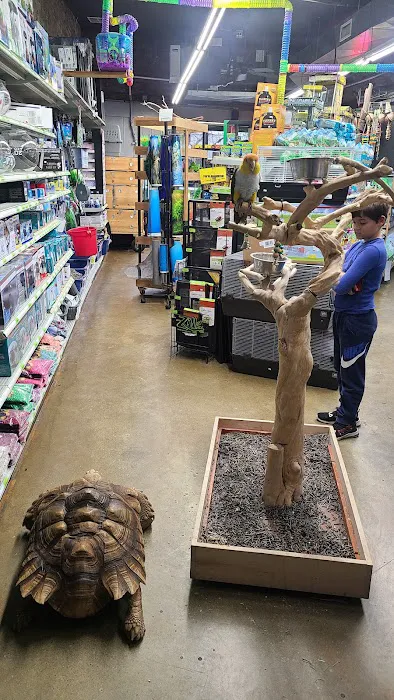 Lou's Pet Shop Picture 4