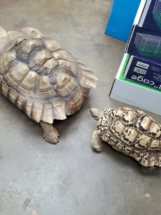 Lou's Pet Shop Picture 2