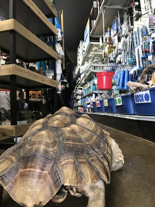 Lou's Pet Shop Picture 10