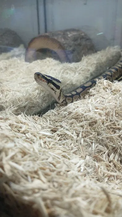 Lou's Pet Shop Picture 6