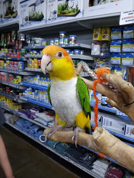 Lou's Pet Shop Picture 5