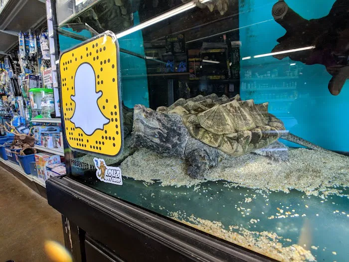 Lou's Pet Shop Picture 8