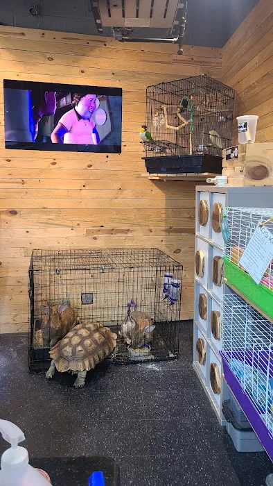 Lou's Pet Shop Picture 7
