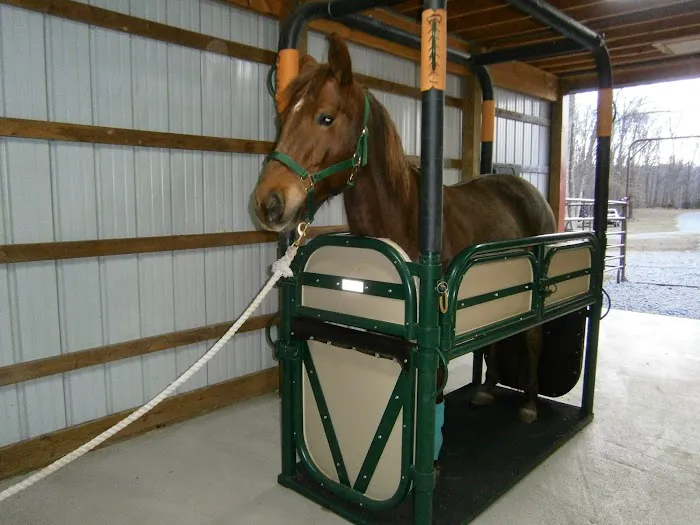 Woods End Equine Veterinary Services Picture 10