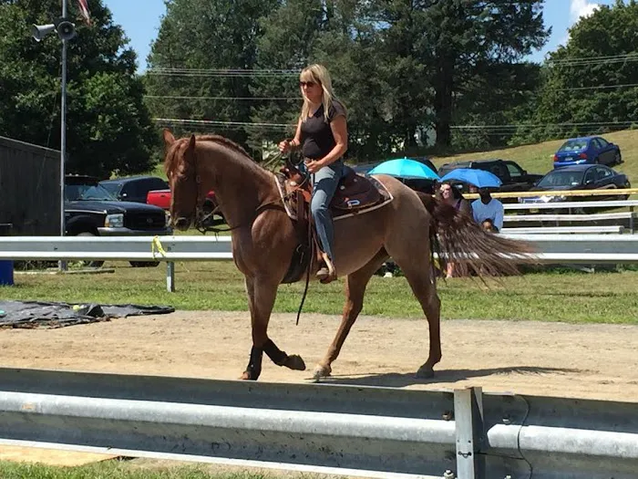 Woods End Equine Veterinary Services Picture 4