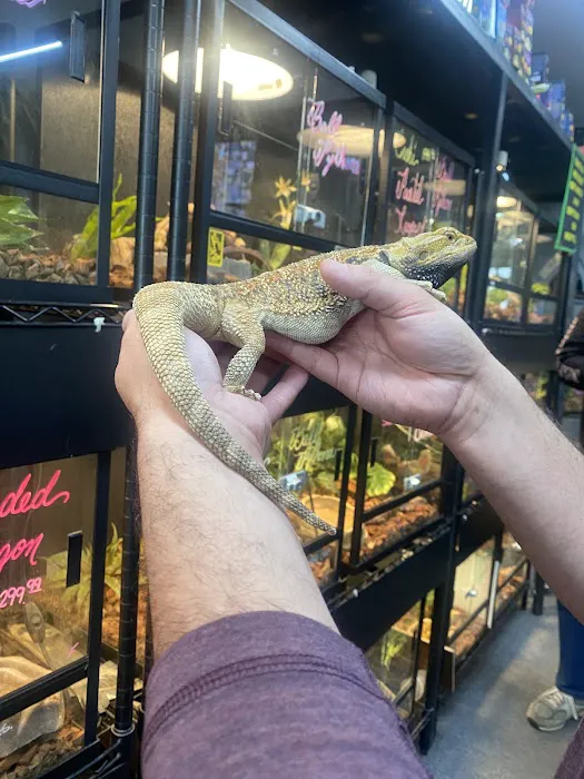 Great Lakes Reptiles Picture 6