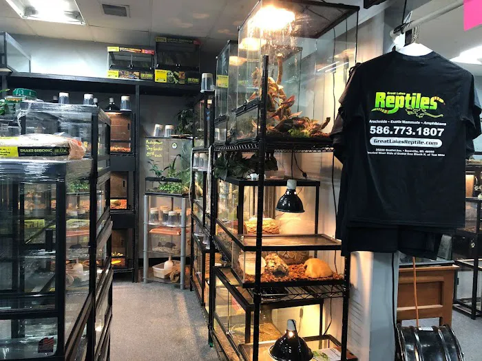 Great Lakes Reptiles Picture 10