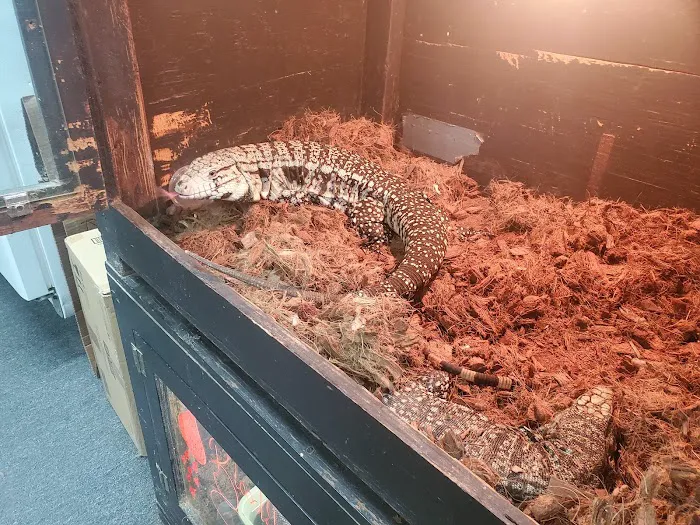 Great Lakes Reptiles Picture 9