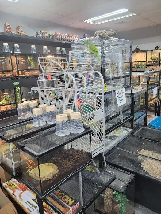 Great Lakes Reptiles Picture 8