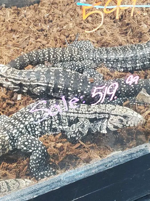 Great Lakes Reptiles Picture 4