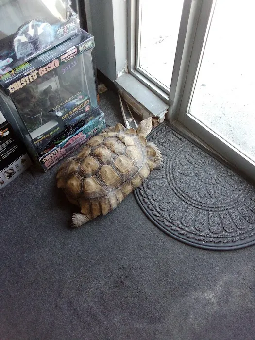 Great Lakes Reptiles Picture 1