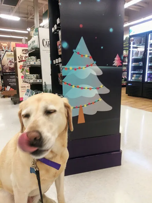 Petco Picture 7