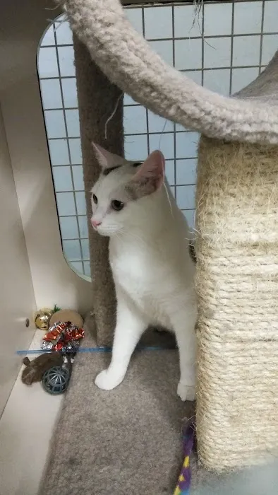Petco Picture 3