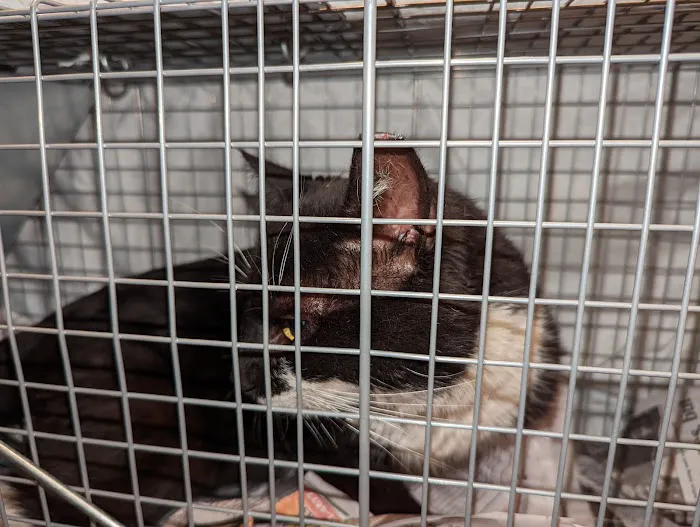 Eastern PA Animal Alliance -Wilkes Barre Location Picture 2