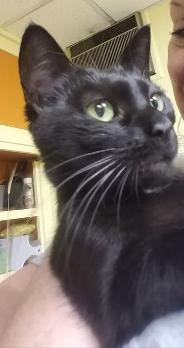 Eastern PA Animal Alliance -Wilkes Barre Location Picture 7
