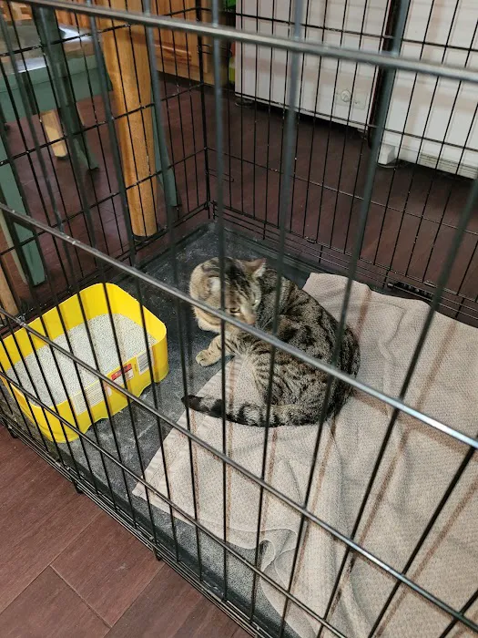 Eastern PA Animal Alliance -Wilkes Barre Location Picture 3