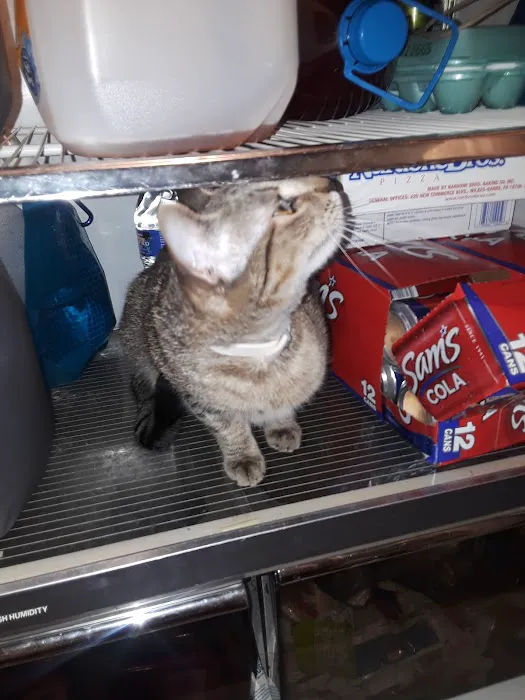 Eastern PA Animal Alliance -Wilkes Barre Location Picture 8