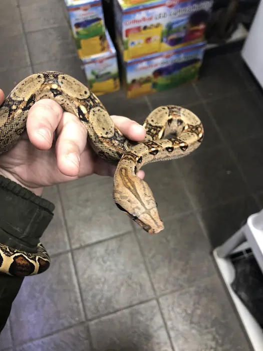 Critter Pet Shop Picture 7