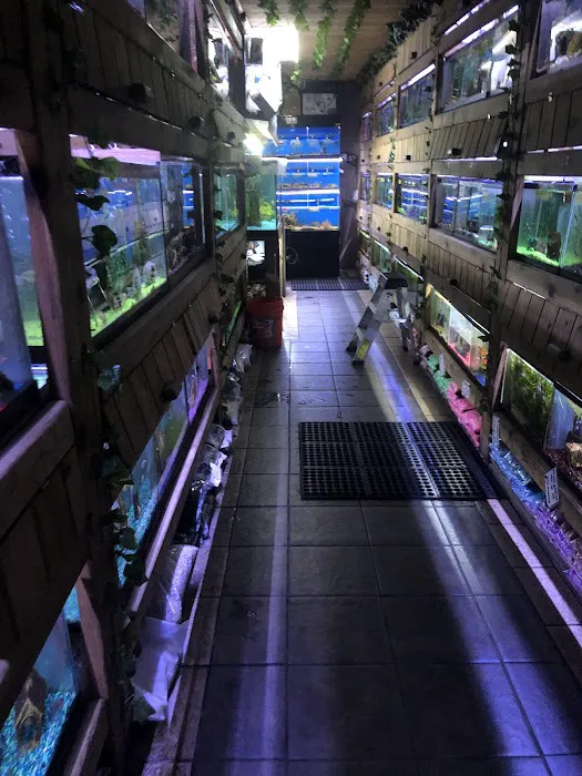 Critter Pet Shop Picture 3