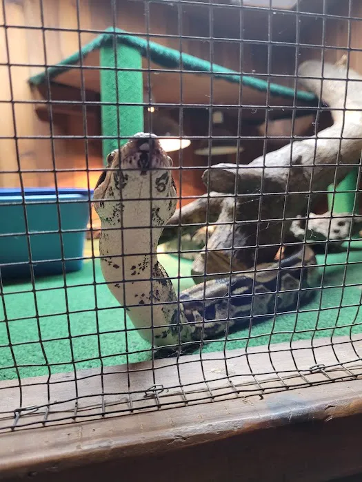 Critter Pet Shop Picture 5
