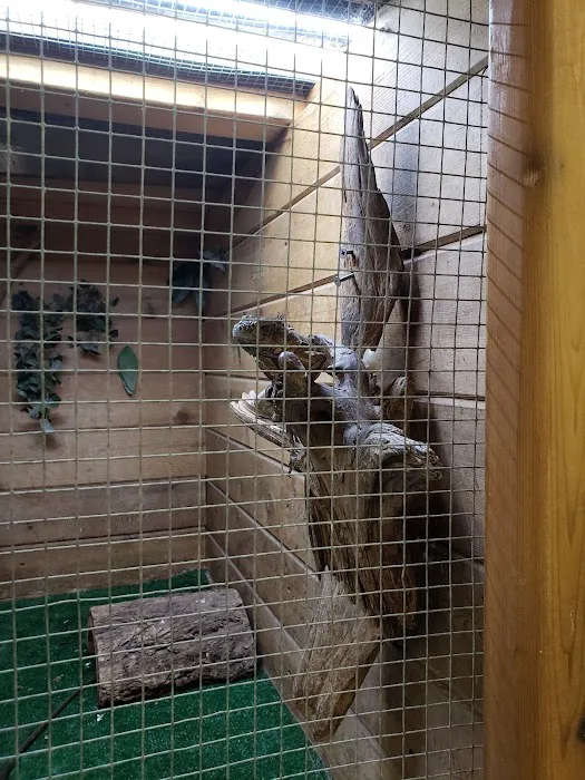 Critter Pet Shop Picture 8