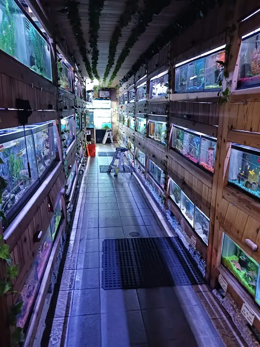 Critter Pet Shop Picture 6